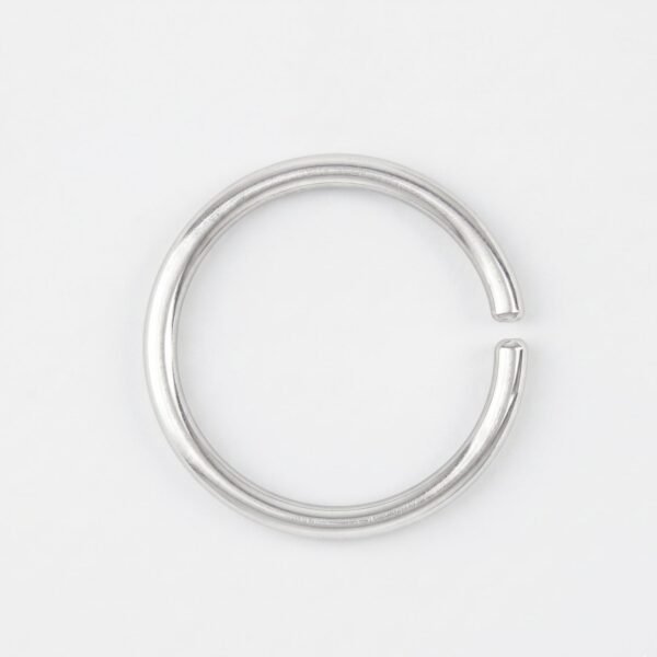Seamless Silver Nose Ring