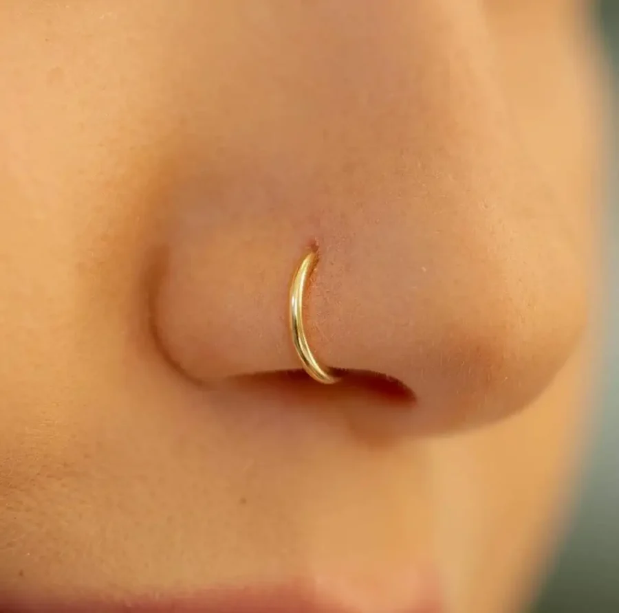 Gold Hoop Nosepin