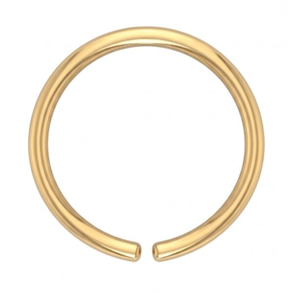 Gold Double Hoop Nose Ring