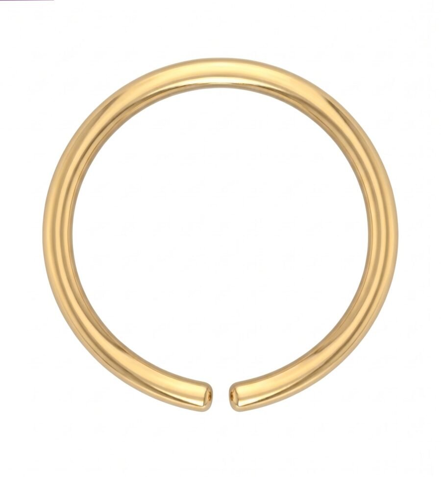 Gold Double Hoop Nose Ring